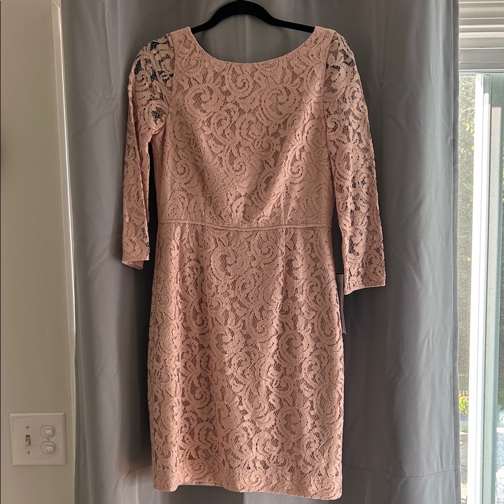 Elegant Pink Lace Dress